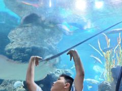 -南昌海洋公园