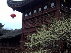 -檀园