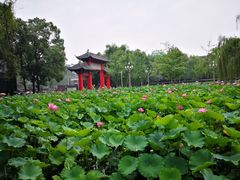 -四川大学(望江校区)