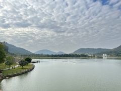 -风云岭森林公园