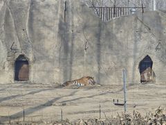 -秦皇岛野生动物园