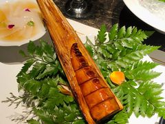 -觀芷隐轩