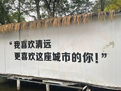 -芭厘·农庄老字号.电饭煲五指毛桃焗鸡