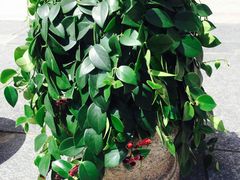 -三旗百汇商品城