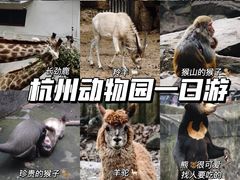 -杭州动物园