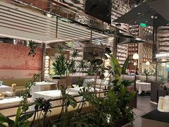 -桂满陇·海市蜃楼·黑金(国金店)