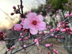 -钟山体育运动公园