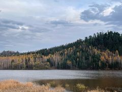 -五营红松林海景区