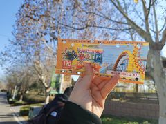 -辛玛王国游乐园