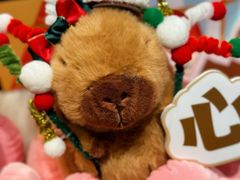 -酷乐潮玩(颛桥万达店)