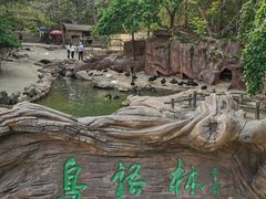 -燕塞湖鸟语林景区