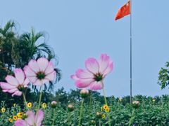 -万绿园