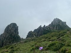 -灵山