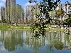 -洋湖国家湿地公园