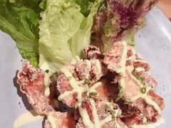 南蛮炸鸡-隐泉之语日式料理(王府中环店)