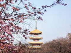 -东湖生态旅游风景区