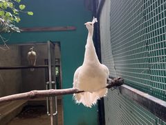-沈阳鸟岛