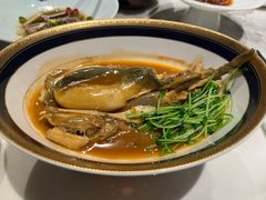 -鲐赏河豚(长寿店)