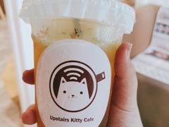 -楼上猫咖(罗湖店)