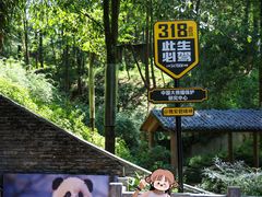 -中国大熊猫保护研究中心雅安碧峰峡基地