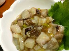 芥末章鱼-游You House(西单老佛爷店)