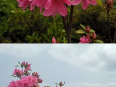 -梧桐山风景名胜区