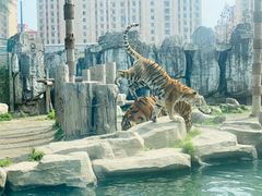 -上海野生动物园