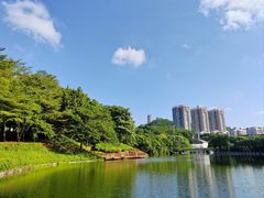 -深圳国际园林花卉博览园