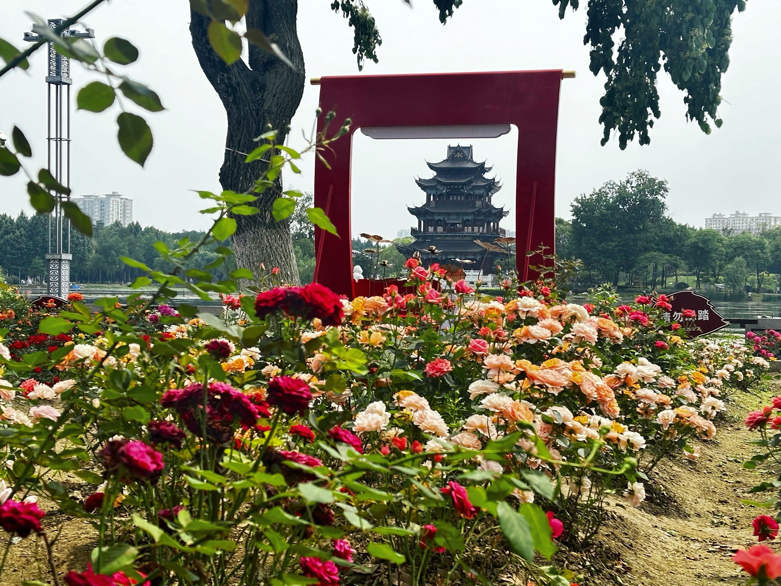 武汉排名第21566的公园