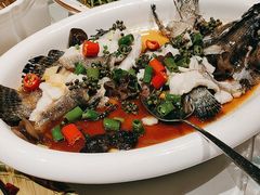 -陶缘一号·四季缘·老字号顺德菜·户外婚礼家宴(西滘店)