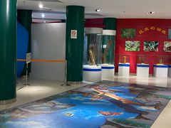 -上海昆虫博物馆