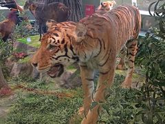 -国家自然博物馆