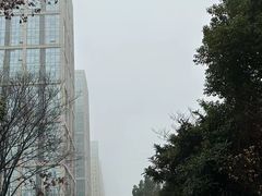 -聚龙湖公园