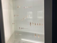 -青岛贝壳博物馆