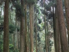 -青城山