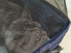 -纳吉亚猫专科动物医院·北北分院