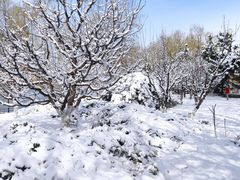 -朝阳公园游乐园