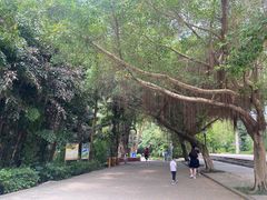 -北海市海滨公园