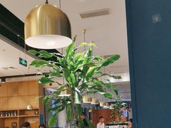 -一味一诚烤鱼(昌平悦荟店)