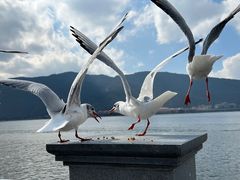-海埂大坝