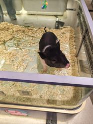 点击看大图 -meland亲子乐园·派对·研学(淄博万象汇店)