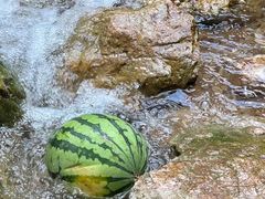 -南海湾森林生态园