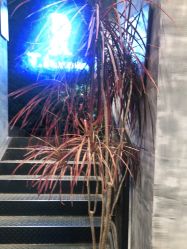 -T.1 hair salon烫染接发