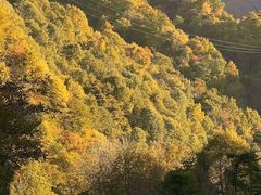 -秦岭风景区