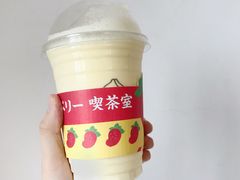 三颗布蕾冰-伏小桃(明瓦廊店)