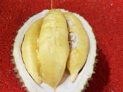 -都念榴莲·城市榴莲