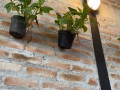-蝶豆花蓝面条