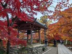 -常寂光寺