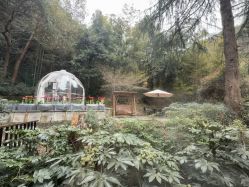 点击看大图 -尚圣月子会所·庄园式月子中心(萧山湘湖店)