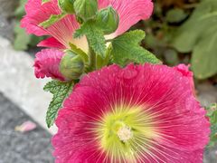 -有幸小食院(马栏山店)